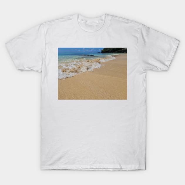 Mauritius beach shoreline T-Shirt by TDArtShop